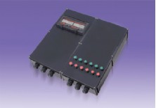 BXQ8050（8060）系列防爆防腐動(dòng)力電磁啟動(dòng)箱（IIC）