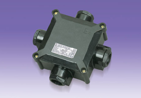 BH8050-系列防爆防腐接線盒(IIC)